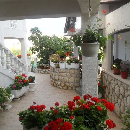Apartmani Sandra Lopar  3