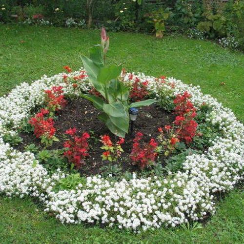 Bacchus Apartmanok Balatonfüred  4