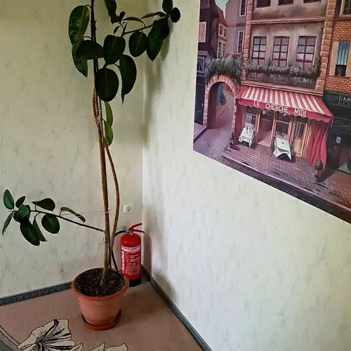 Kastélykert Apartman Gyula 016 kép