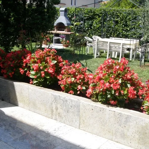 Kamin - ro&scaron;tilj