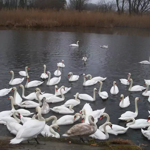 Dávodi Kemping és Szabadidőpark 010 kép