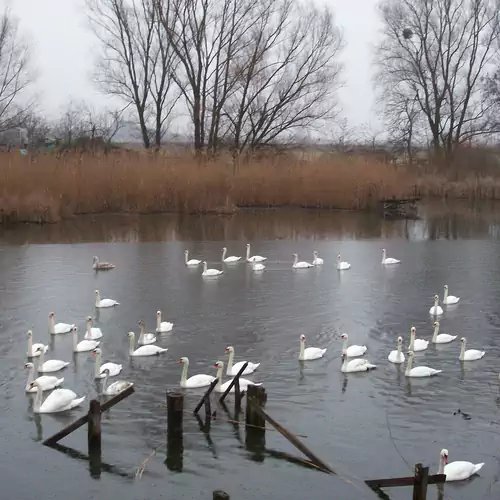 Dávodi Kemping és Szabadidőpark 011 kép