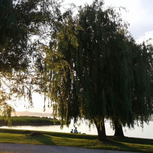 Mórocz Vendégház Balatonboglár  3
