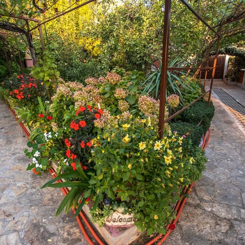 Apartmani Pavica Starigrad-Paklenica  3