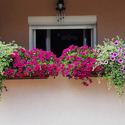 Apartmani Toni Rovinj  4