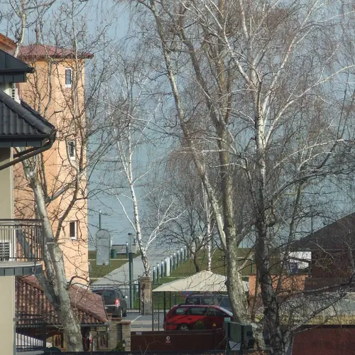 kilátás a Balatonra