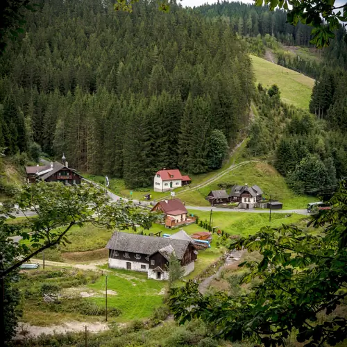 A h&aacute;z mad&aacute;rt&aacute;vlatb&oacute;l