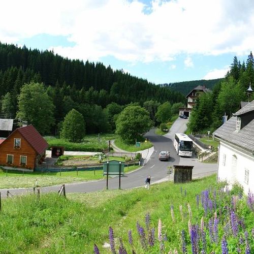 A ház és környéke