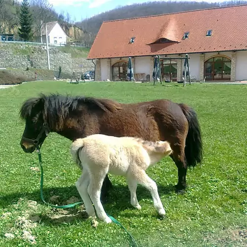 Naspolya Panzió és Étterem Bátaapáti 018 kép