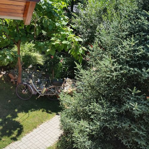 Berni Apartman Badacsonytomaj  2