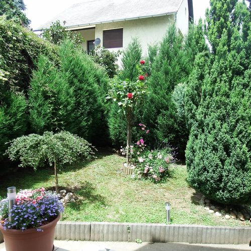 Mária Apartman Balatonboglár  4