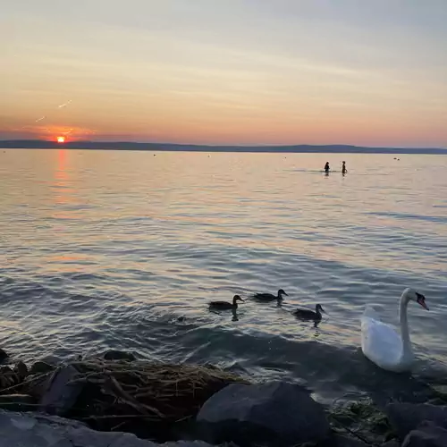 Aranypart Apartman36 Siófok 010 kép