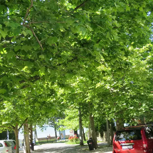 Steiner Vízközeli Apartman Balatonboglár 011 kép