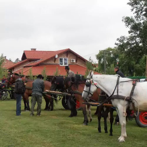 Pálya Vendégház Pusztaszer 009 kép