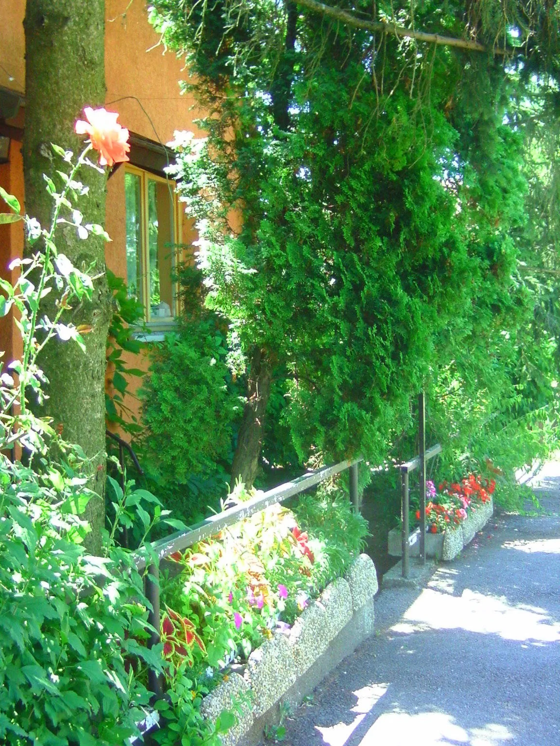 Margó Panzió Vértessomló