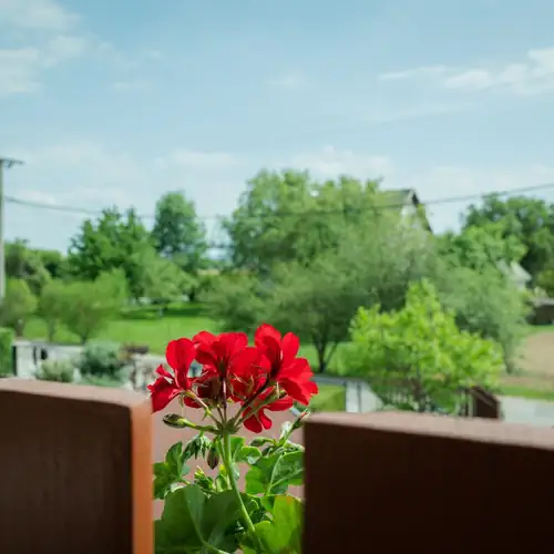 Muskátli Apartman Keszthely 015 kép