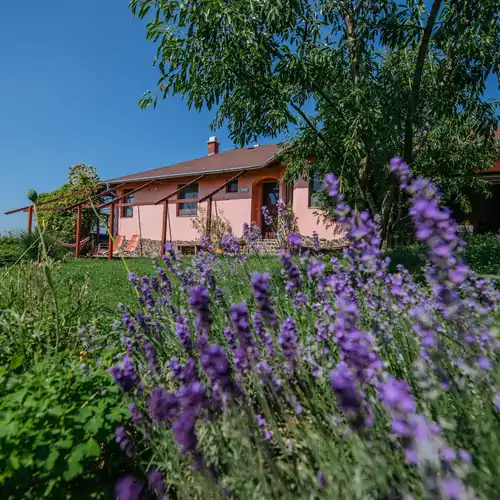 Panoráma Vendégház Szendehely 019 kép