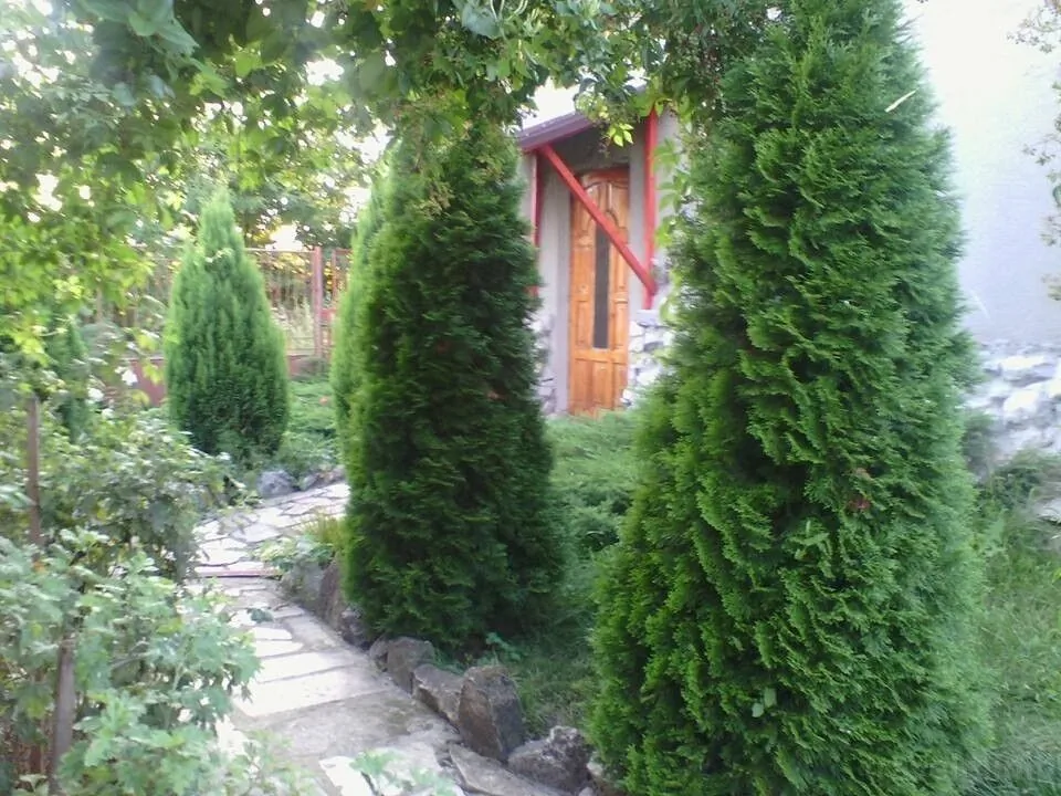 Pensiunea Péter Annamária & Géza Cristur