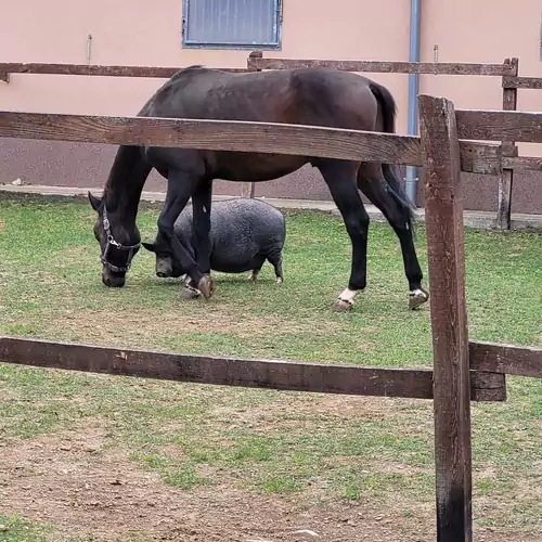 Tótvár Üdülőház Kővágótőttő 024 kép