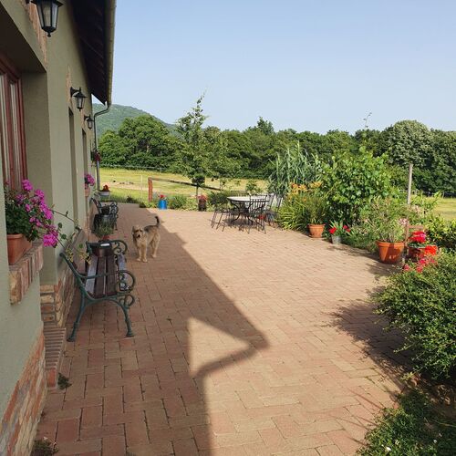 d&eacute;li fekv&eacute;sű terasz