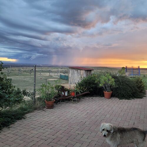 Vajon mi lesz ebből?