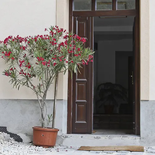 Vadszőlő Vendégház Veszprém 009 kép