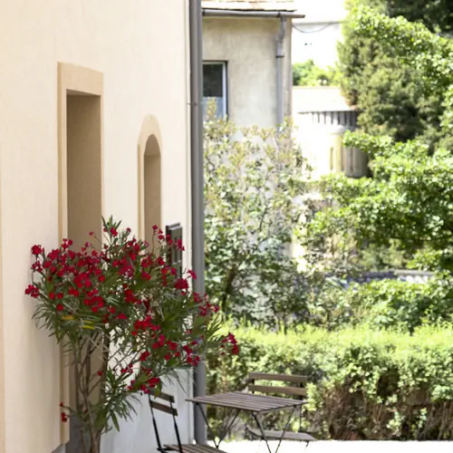 Vadszőlő Vendégház Veszprém 020 kép