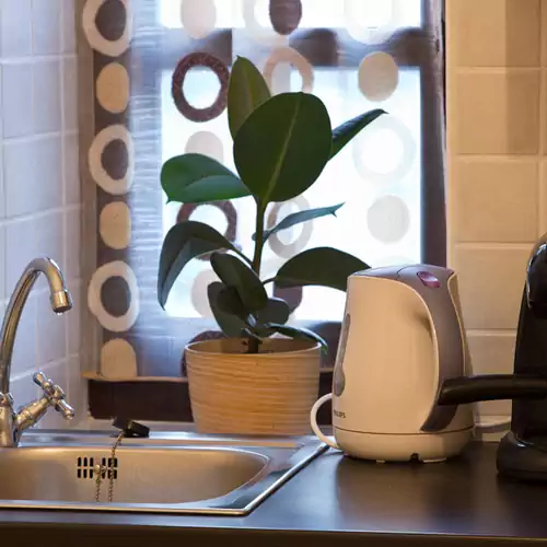 Vadszőlő Vendégház Veszprém 031 kép