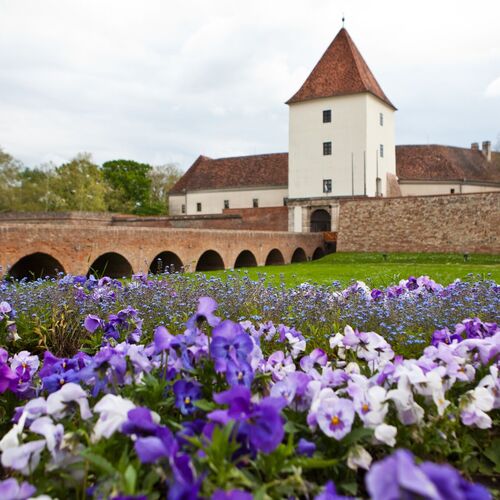 Vir&aacute;gos v&aacute;ros 