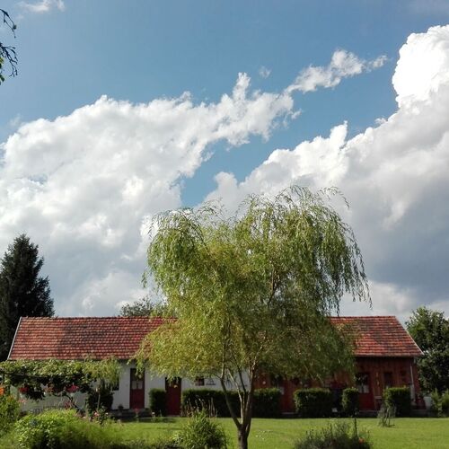 Cseri Porta Szalafő