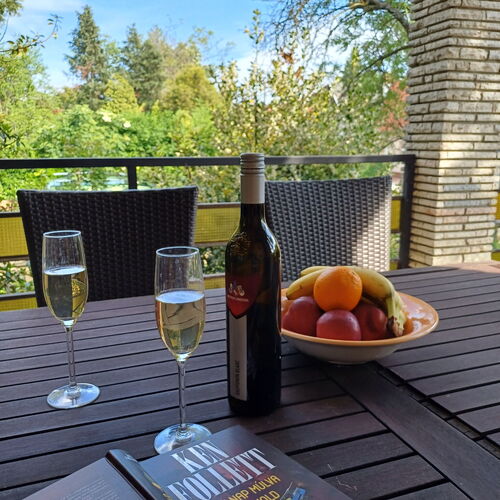 Zanati Villa Vonyarcvashegy  3