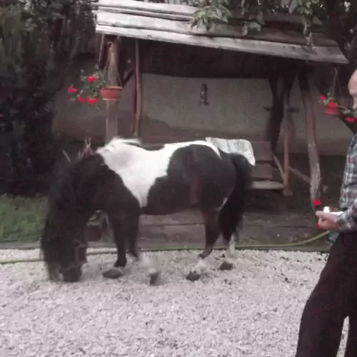 Nefelejcs Vendégház Diósviszló 018 kép