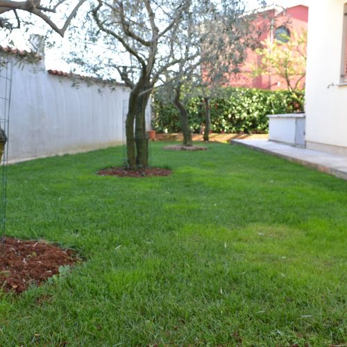 Apartmani Dermit Fažana  3