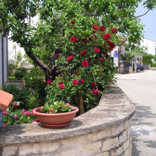 Apartmani Cerin Rovinj  2