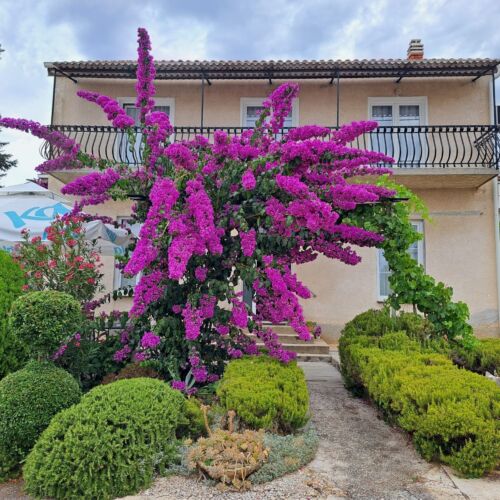 Apartman Zorić Biograd na Moru