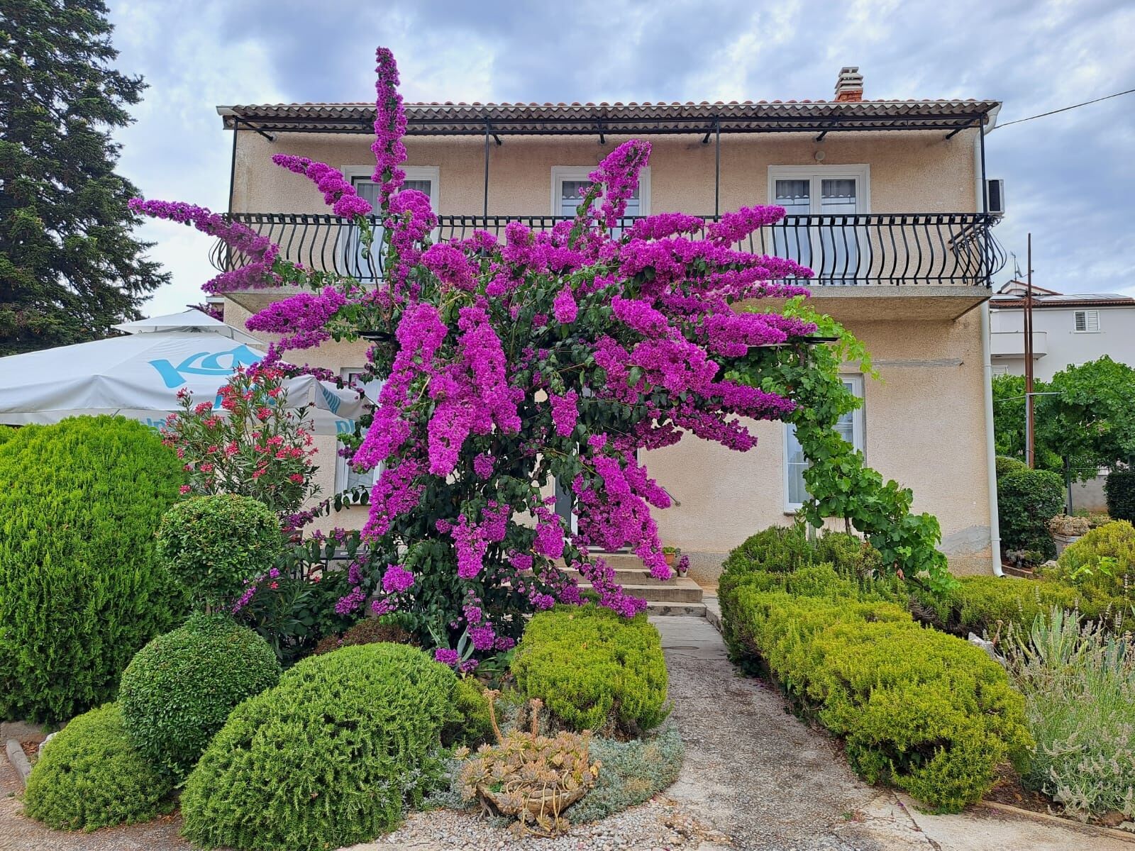 Apartman Zorić Biograd na Moru