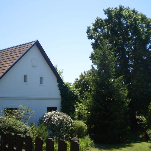 Falusi Vendég Fogadó Balatonboglár-Szőlőskislak  4