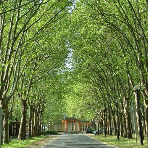 BBB Apartman I. Balatonboglár  3