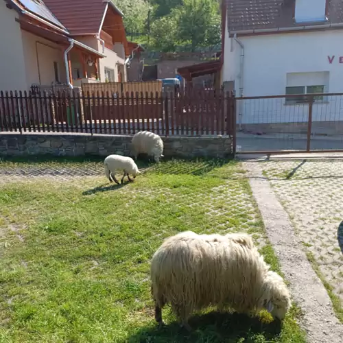 Bé-La Vendégház Szomolya 068 kép