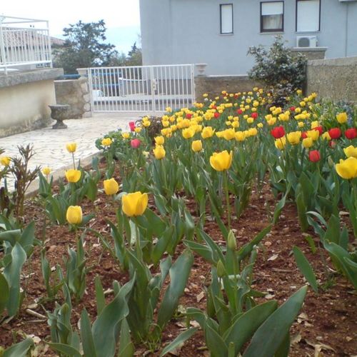 Apartman Kabalin Novi Vinodolski  2