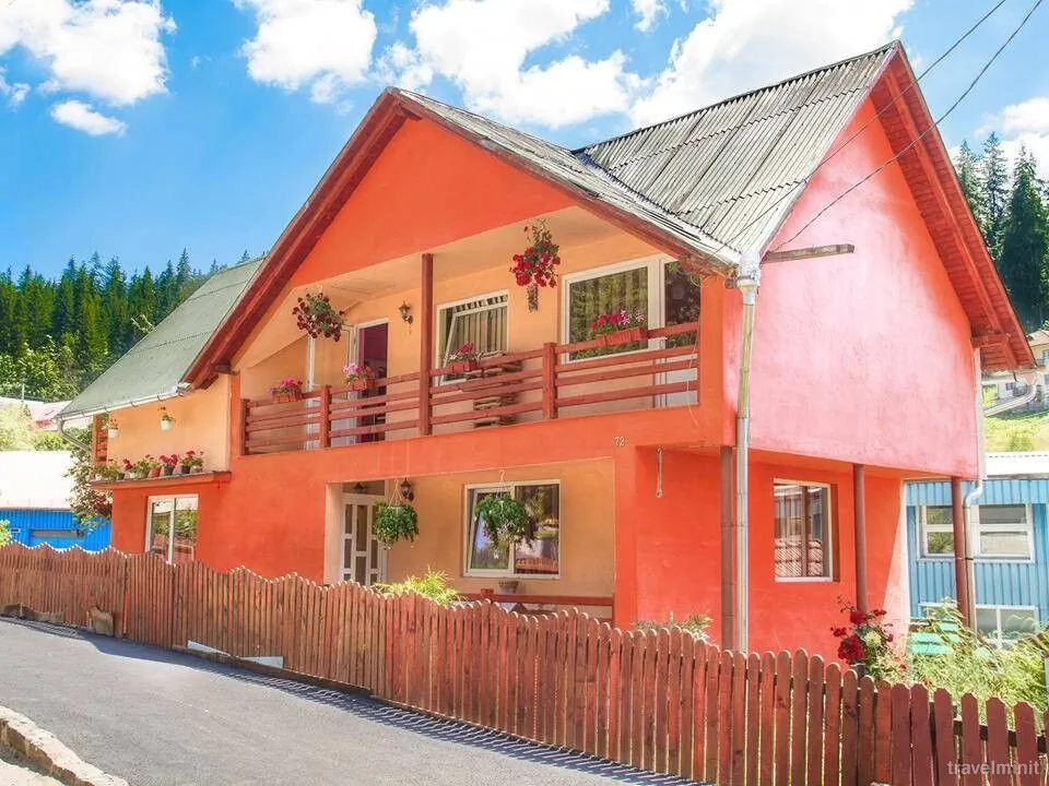 Pensiunea Teo Borsec