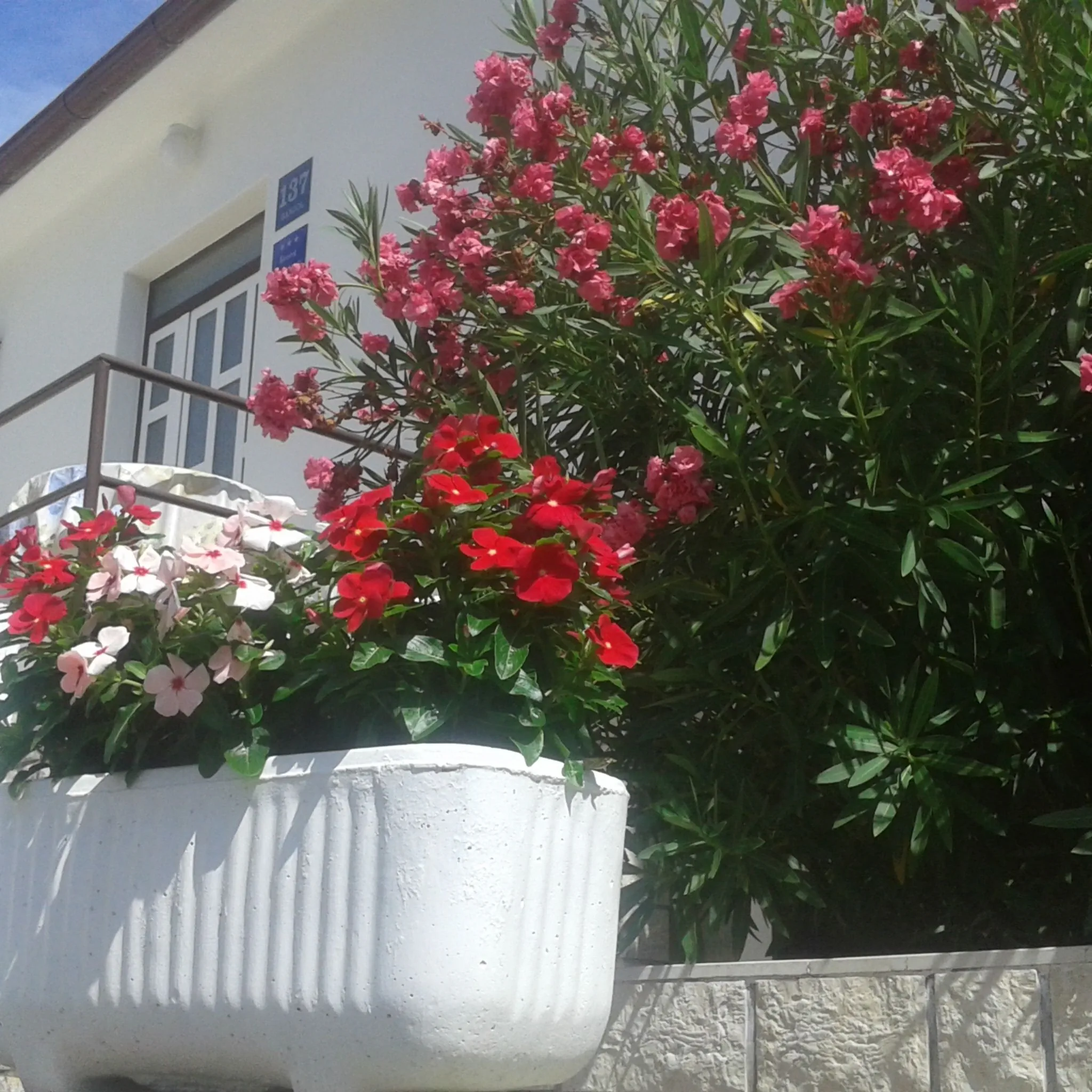 Apartman Dragica Beg Banjol Rab