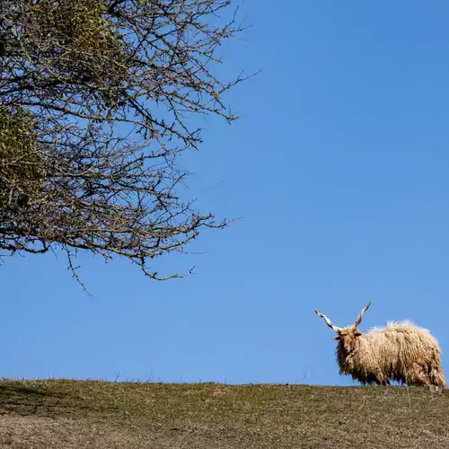 Hársfa Vendégház Ökopark Bükkösd 006 kép
