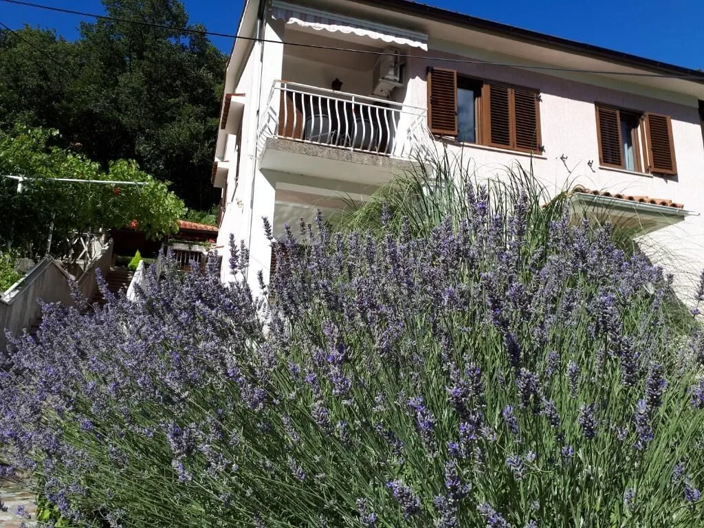 Apartman-Sobe Mikleus Mošćenička Draga