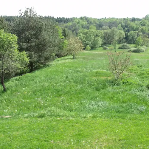 Fénykép a kertről