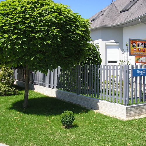 Kép parkról