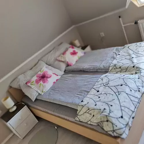 Zöld Sziget Apartman Gyula 038 kép