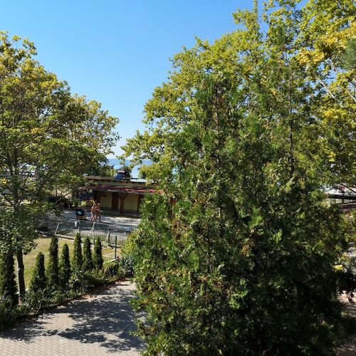 Napraforgó Apartmanok Balatonszemes  3