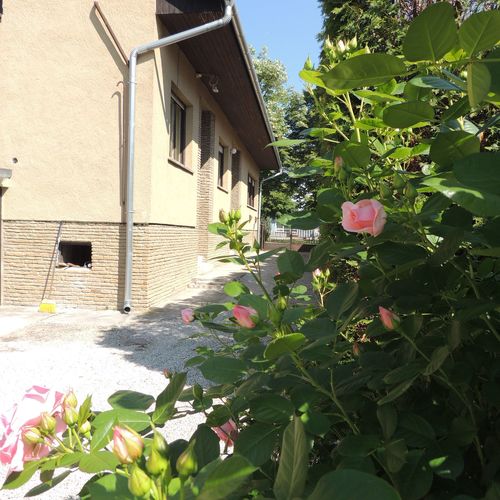 Roselio Garden Apartman Hévíz  4