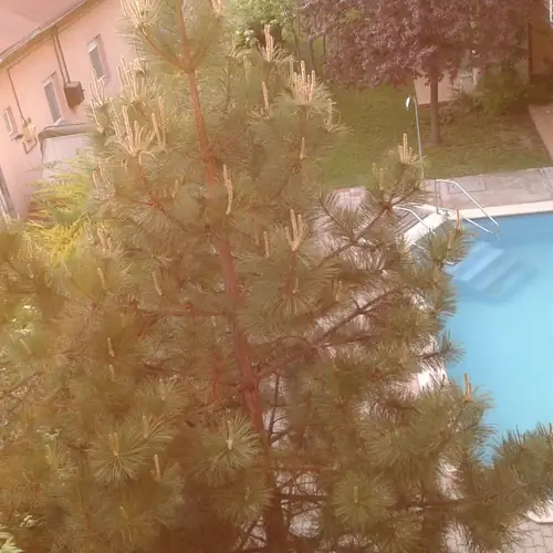 Balaton Beach Apartman 2 Siófok 046 kép